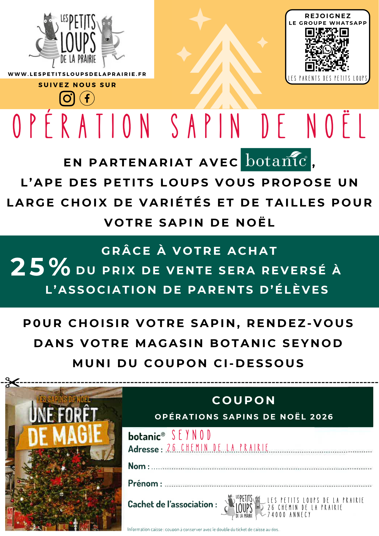 Sapins de Noël